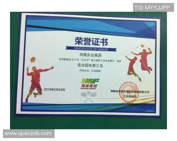 深圳羽毛球队团队协作模式深度解析与其他城市队伍对比分析